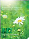 Budget 2011 article